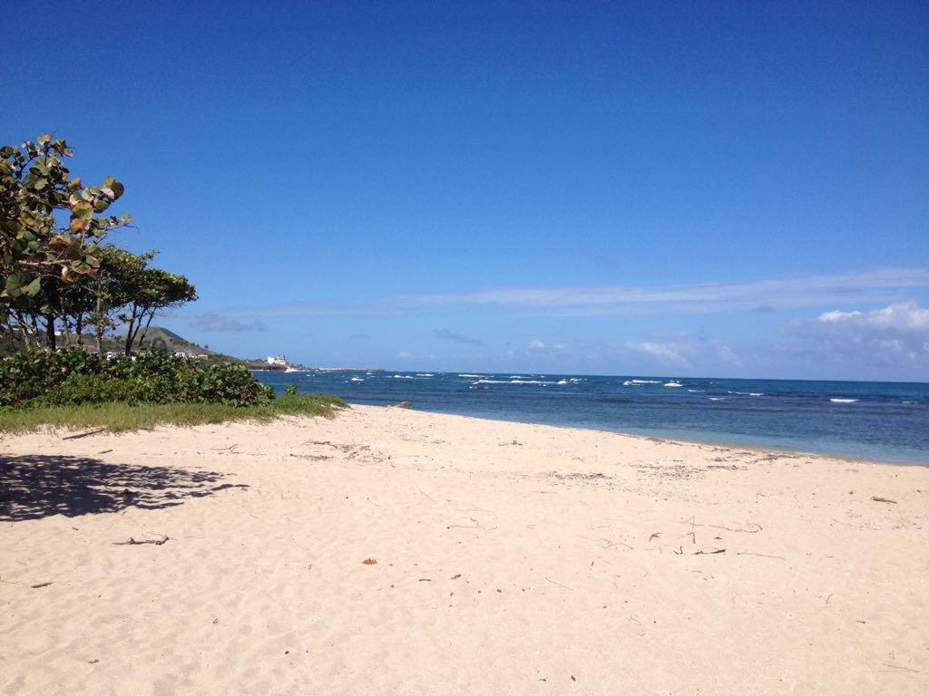 Mar Azul 401 Apartment Puerto Plata Екстериор снимка